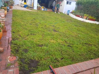 We supply kikuyu grass buffalo grass Lm berea grass and cynodon grass