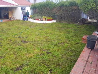 We supply kikuyu grass buffalo grass Lm berea grass and cynodon grass