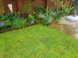 We supply kikuyu grass buffalo grass Lm berea grass and cynodon grass