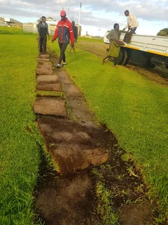 We supply kikuyu grass buffalo grass Lm berea grass and cynodon grass