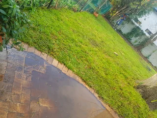 We supply kikuyu grass buffalo grass Lm berea grass and cynodon grass