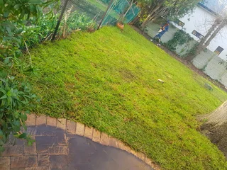 We supply kikuyu grass buffalo grass Lm berea grass and cynodon grass