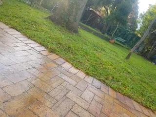 We supply kikuyu grass buffalo grass Lm berea grass and cynodon grass