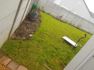 We supply kikuyu grass buffalo grass Lm berea grass and cynodon grass