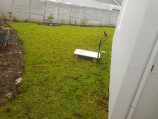 We supply kikuyu grass buffalo grass Lm berea grass and cynodon grass