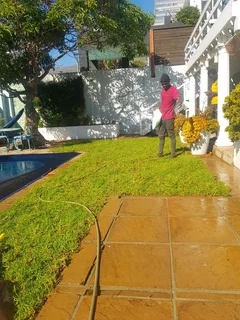 We supply kikuyu grass buffalo grass Lm berea grass and cynodon grass