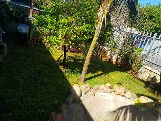 We supply kikuyu grass buffalo grass Lm berea grass and cynodon grass