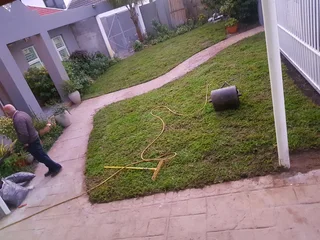 We supply kikuyu grass buffalo grass Lm berea grass and cynodon grass