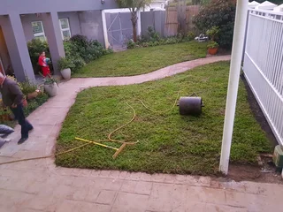 We supply kikuyu grass buffalo grass Lm berea grass and cynodon grass