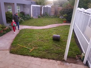 We supply kikuyu grass buffalo grass Lm berea grass and cynodon grass