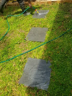 We supply kikuyu grass buffalo grass Lm berea grass and cynodon grass