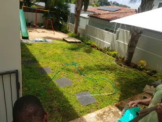 We supply kikuyu grass buffalo grass Lm berea grass and cynodon grass