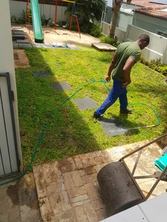 We supply kikuyu grass buffalo grass Lm berea grass and cynodon grass