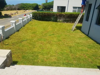 We supply kikuyu grass buffalo grass Lm berea grass and cynodon grass