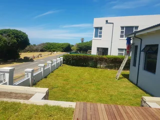 We supply kikuyu grass buffalo grass Lm berea grass and cynodon grass