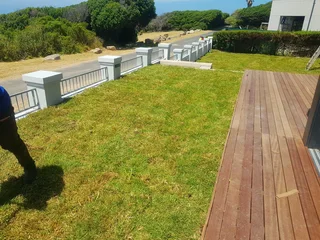 We supply kikuyu grass buffalo grass Lm berea grass and cynodon grass