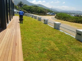 We supply kikuyu grass buffalo grass Lm berea grass and cynodon grass