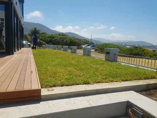 We supply kikuyu grass buffalo grass Lm berea grass and cynodon grass