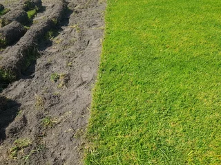 We supply kikuyu grass buffalo grass Lm berea grass and cynodon grass