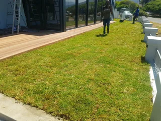 We supply kikuyu grass buffalo grass Lm berea grass and cynodon grass