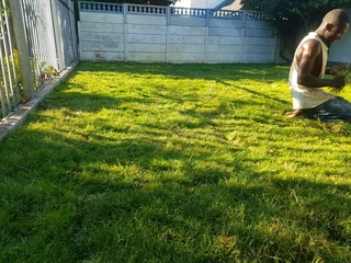 We supply kikuyu grass buffalo grass Lm berea grass and cynodon grass