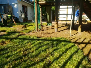 We supply kikuyu grass buffalo grass Lm berea grass and cynodon grass