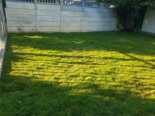 We supply kikuyu grass buffalo grass Lm berea grass and cynodon grass