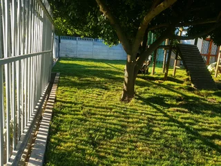 We supply kikuyu grass buffalo grass Lm berea grass and cynodon grass