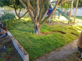 We supply kikuyu grass buffalo grass Lm berea grass and cynodon grass