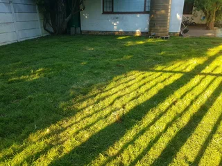 We supply kikuyu grass buffalo grass Lm berea grass and cynodon grass