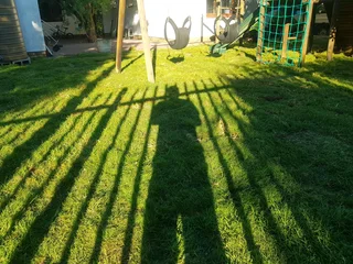 We supply kikuyu grass buffalo grass Lm berea grass and cynodon grass