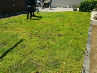 We supply kikuyu grass buffalo grass Lm berea grass and cynodon grass