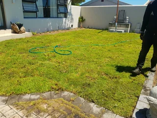 We supply kikuyu grass buffalo grass Lm berea grass and cynodon grass