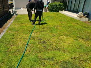 We supply kikuyu grass buffalo grass Lm berea grass and cynodon grass