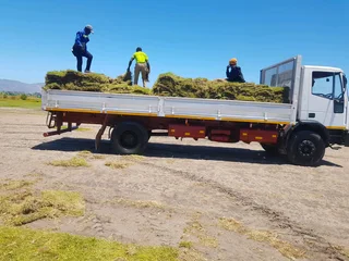 We supply kikuyu grass buffalo grass Lm berea grass and cynodon grass