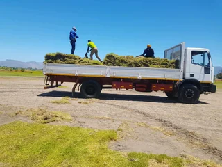 We supply kikuyu grass buffalo grass Lm berea grass and cynodon grass