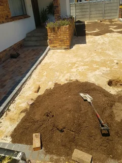 We supply kikuyu grass buffalo grass Lm berea grass and cynodon grass