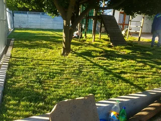 We supply kikuyu grass buffalo grass Lm berea grass and cynodon grass