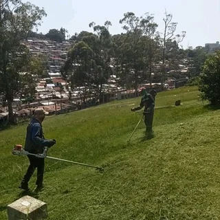 Grass cutting
