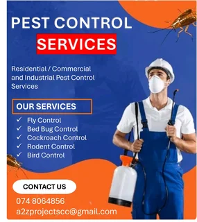 Cockroach 荒 Problems