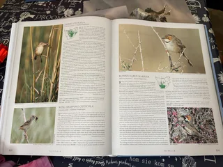 The Ultimate Companion to Birding in South Africa