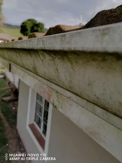 Window painting, gutters cleaning and fascia boards and doors