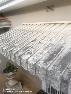 Window painting, gutters cleaning and fascia boards and doors