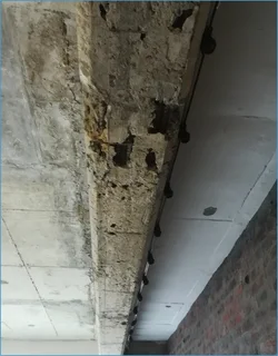 Buying or Building? Don’t Risk It—Get Expert Property Inspections &amp; Reports