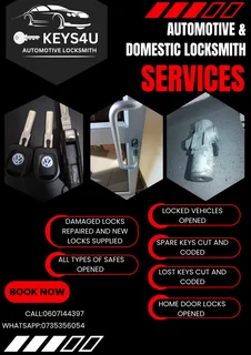 Automotive and Domestic Locksmith