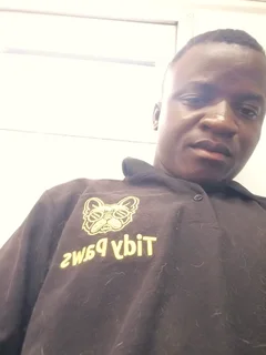 Am looking for a job for grooming dogs