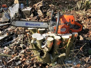 Tree Felling And Garden Services