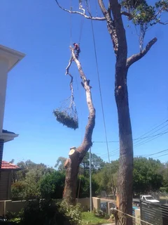 Tree Felling And Garden Services