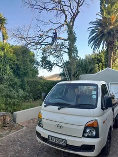 Plot Clearing And Tree Felling