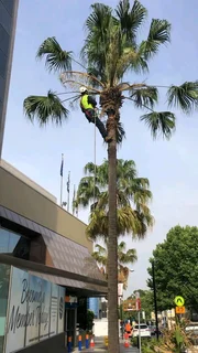 Tree Felling And Garden Services